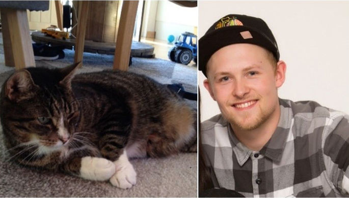 В Швеции кот воссоединился с хозяином спустя 9 лет