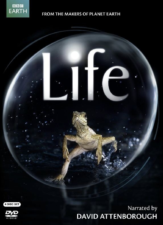 BBC: Жизнь / Life - 2009