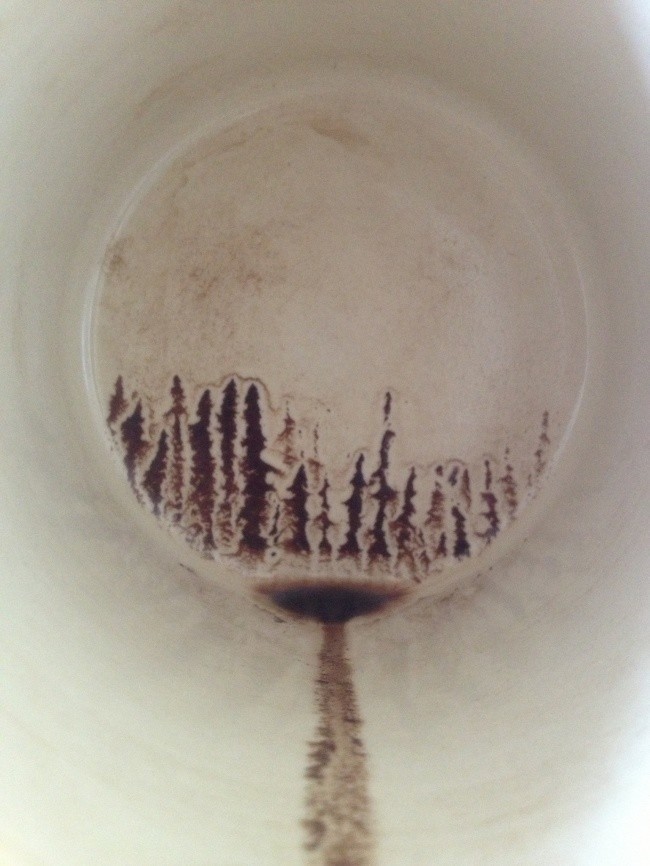 Изображение леса на дне чашки после последнего глотка кофе
