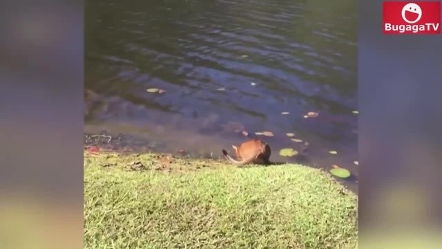 Попил воды