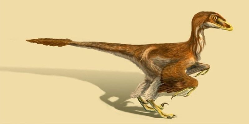 Дромеозавр 