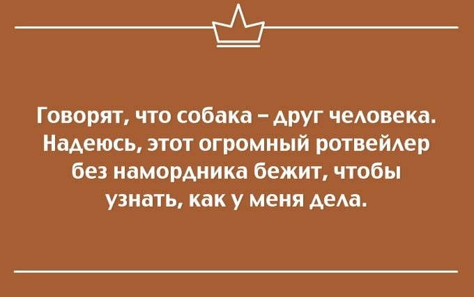 Немного  Сарказма