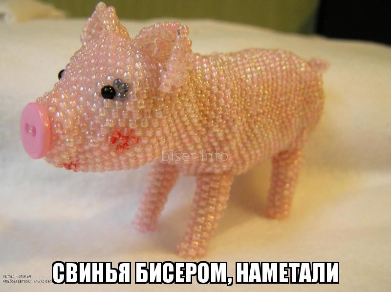 Из солянки