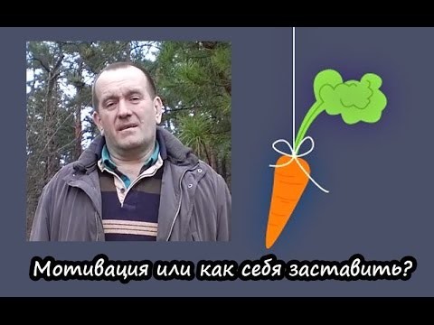 Как себя мотивировать 