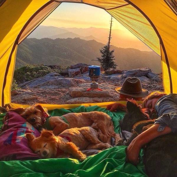 Сон в палатке 