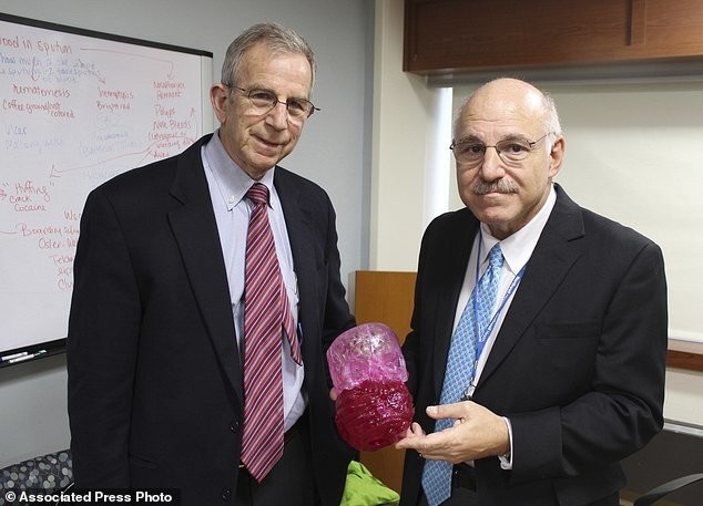 Врачи Дэвид Хоффман (слева) и Армен Касабьян показывают 3D-модель опухоли и реальную опухоль (она темно-красного цвета)
