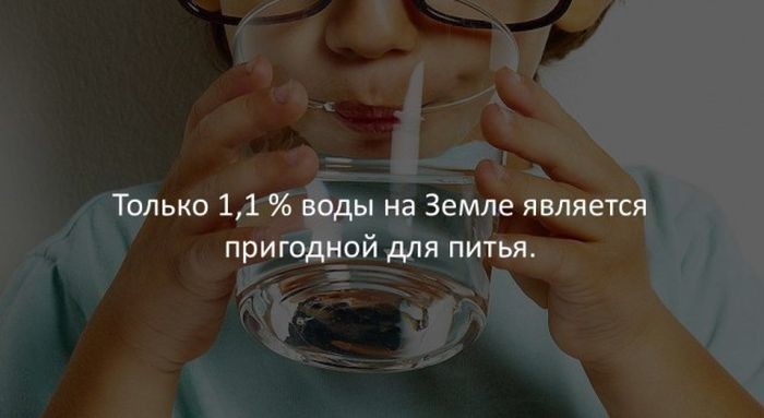 Интересные факты для любознательных