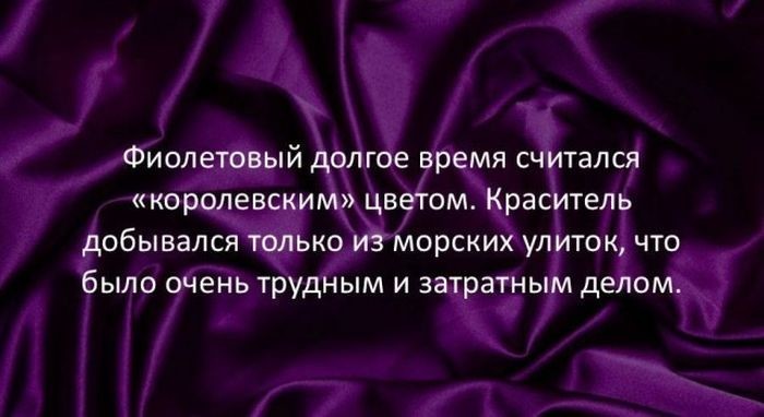 Интересные факты для любознательных