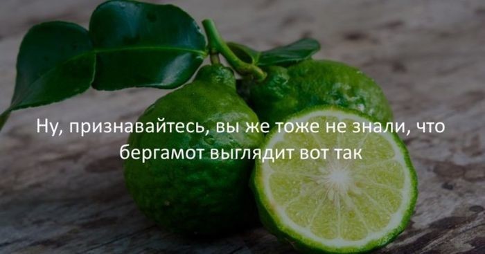 Интересные факты для любознательных