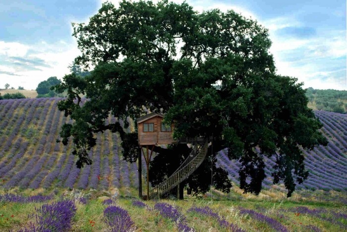 Более того, это первый «дом на дереве», который был построен с целью привлечения туристов в Италии.