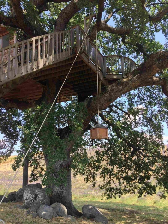 Домик на дереве