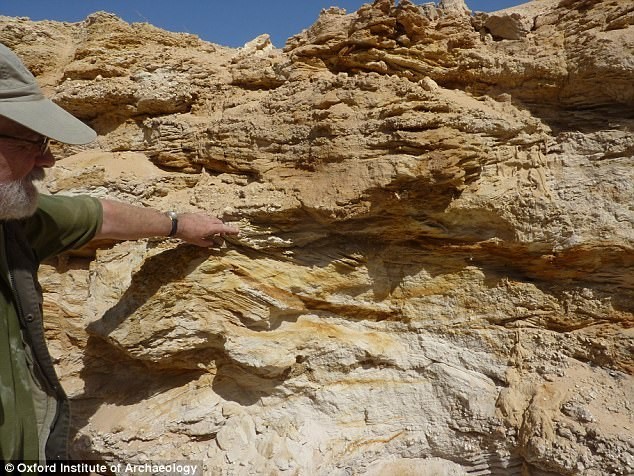 Исследователи из Оксфордского университета и Королевского колледжа Лондона обнаружили кости и каменные инструменты в высохшем древнем мегаозере 