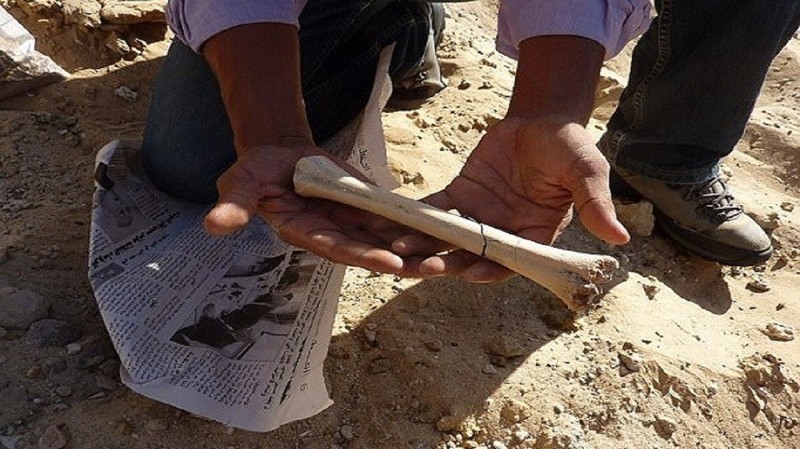На дне высохшего озера в Тунисе археологи нашли кости животных и каменные орудия труда 