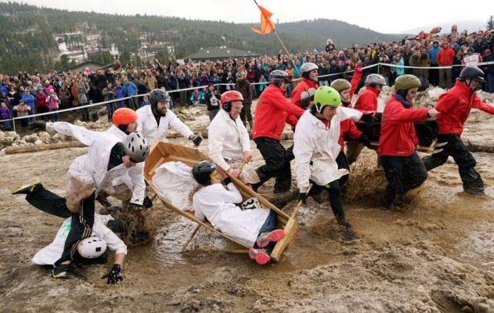 Подборка прикольных и смешных фото и картинок 