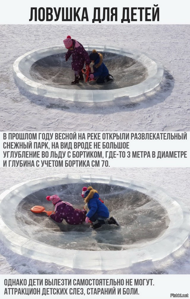 Из солянки