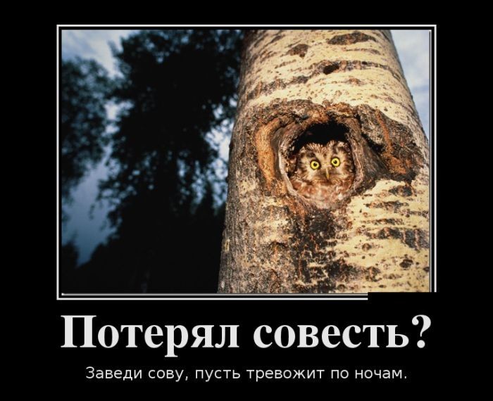 Демотиваторы