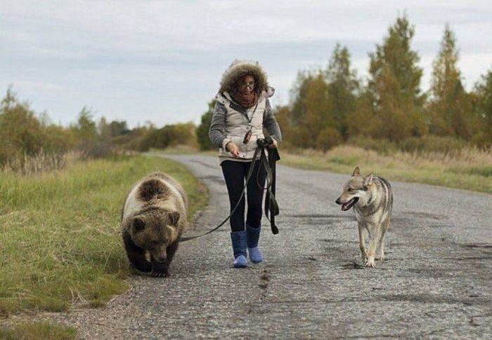 Прикольные картинки