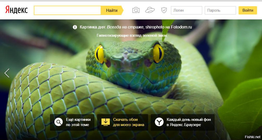 Зашел на Яндекс-Картинки - забыл, что хотел найти: