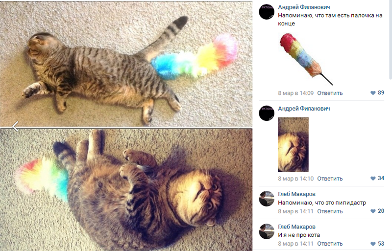КОТ ПИПИДАСТР)))