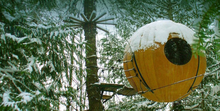 Этот канадский отель со сферическими домиками предлагает вам спать на деревьях