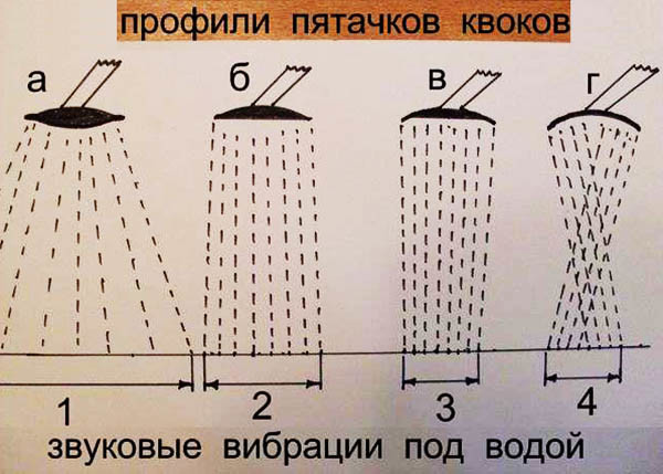 C квоком и мудростью