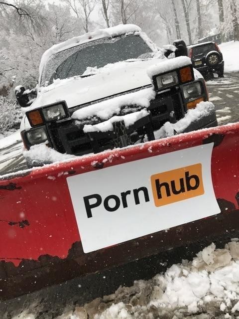 Компания Pornhub предложила помощь американцам во время снежной бури