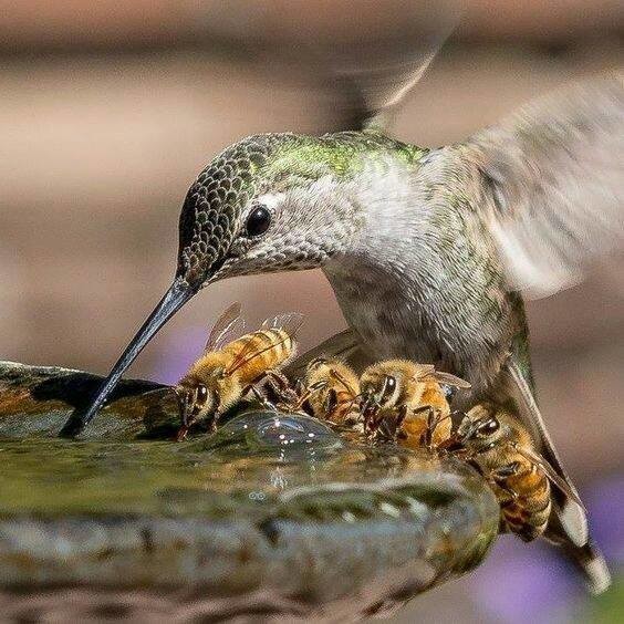 Свежая кучка фоток 