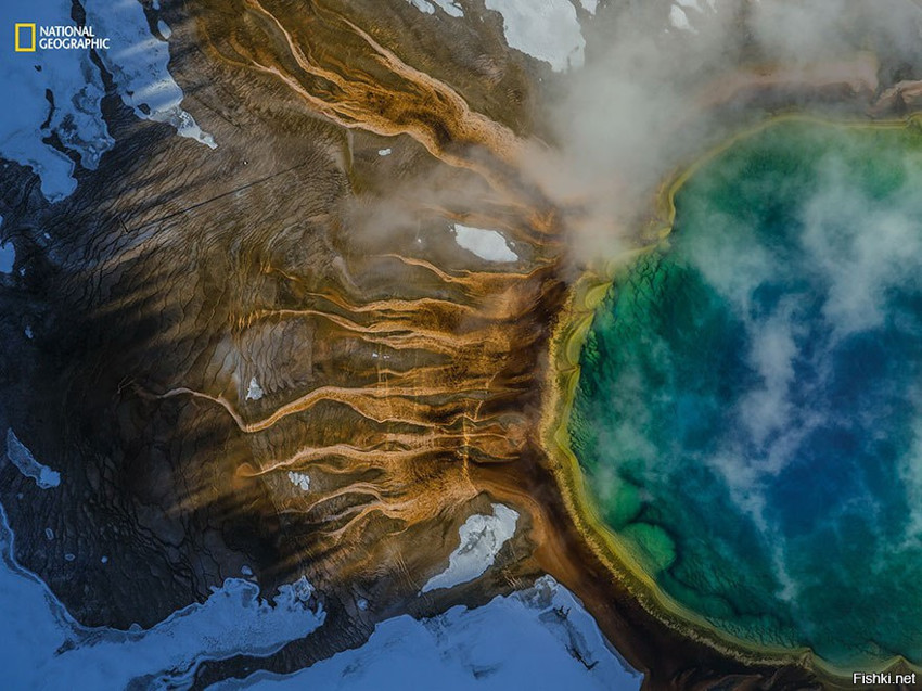 Фантастический цвет вулкана Йеллоустоун продиктован бактериями, которые цвету...