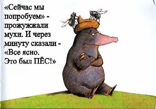 Европейская классика для детей. "Сказка про крота, который хотел узнать, кто накакал ему на голову"