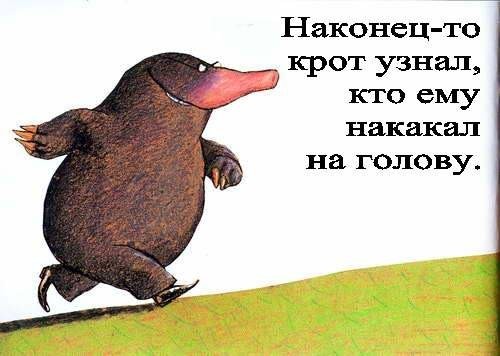 Европейская классика для детей. "Сказка про крота, который хотел узнать, кто накакал ему на голову"
