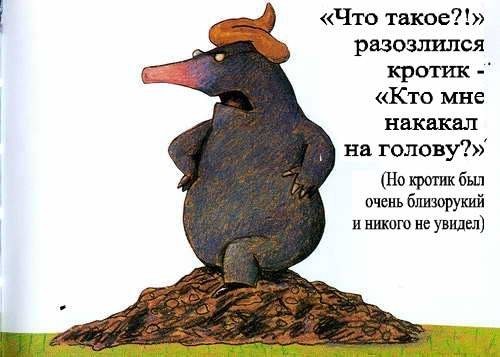 Европейская классика для детей. "Сказка про крота, который хотел узнать, кто накакал ему на голову"