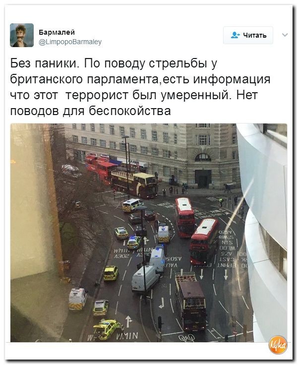 Политические коментарии соцсетей - 83