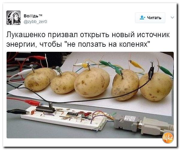Политические коментарии соцсетей - 83