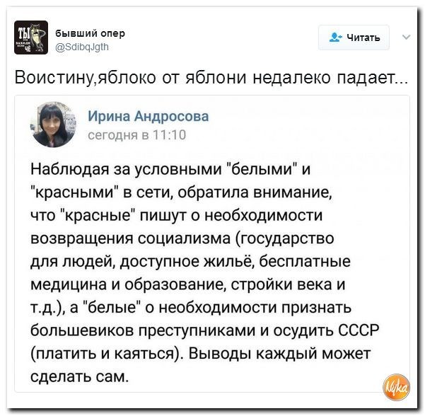 Политические коментарии соцсетей - 83