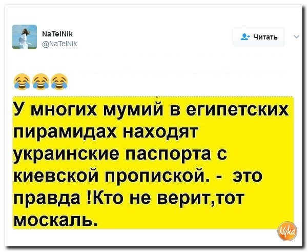 Политические коментарии соцсетей - 83