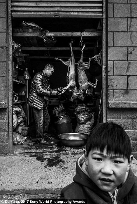 Ребенок играет около склада, где мужчина продает собачье мясо, Кайфын, Китай