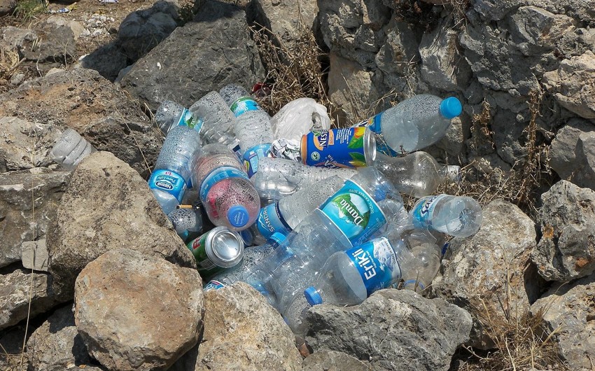 Вот почему нельзя повторно использовать пластиковую бутылку для воды, даже если вы ее помыли. Жуть!