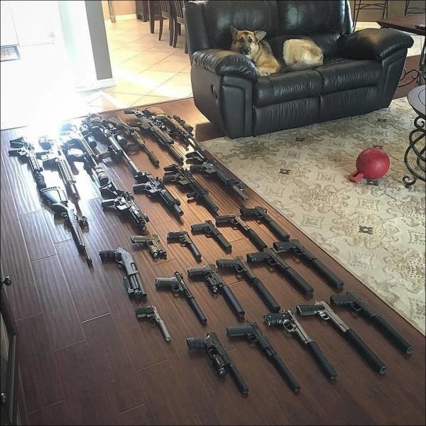 Коллекция оружия 