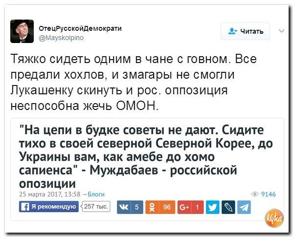 Политические коментарии соцсетей - 88