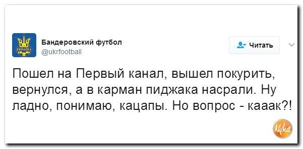 Политические коментарии соцсетей - 88
