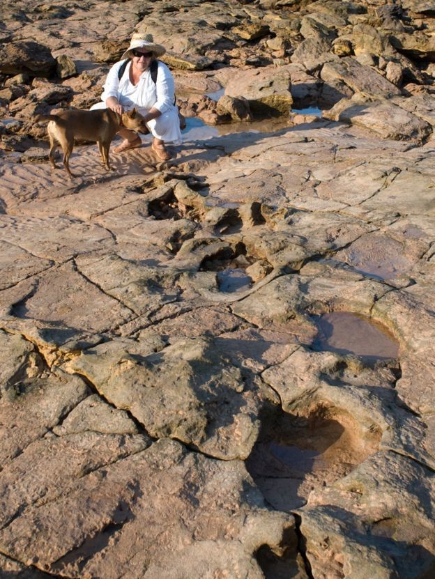 В Австралии нашли свой "Парк Юрского периода"