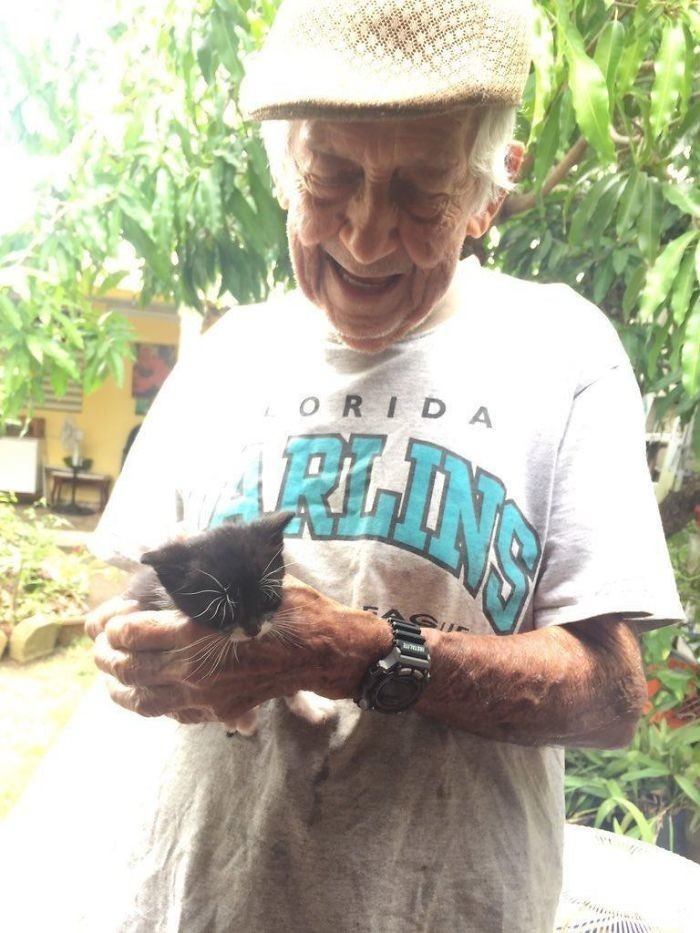 Это 85-летний Джимми, который решил приютить кошку с маленькими котятами - несмотря на то, что его жена всегда выступала против кошек