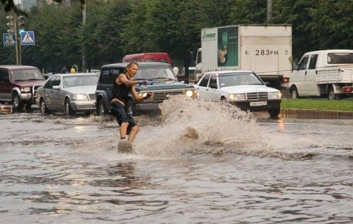 Прикольные картинки