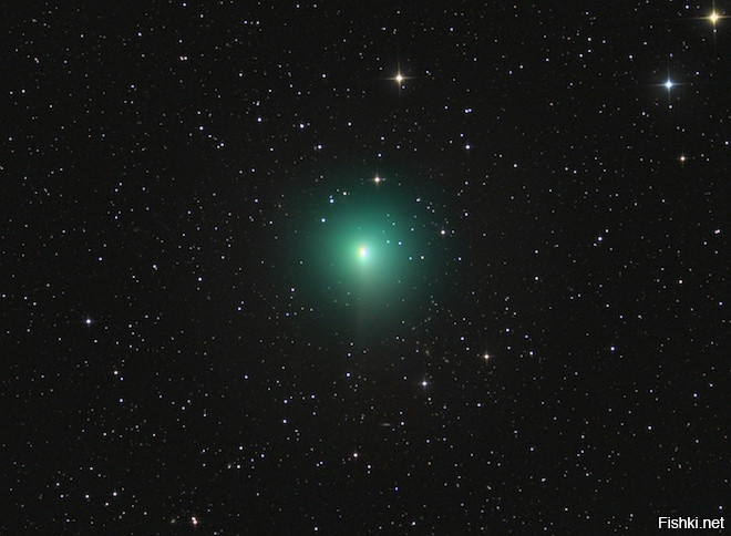 Комета Туттля — Джакобини — Кресака подлетит к нашей планете на максимально б...