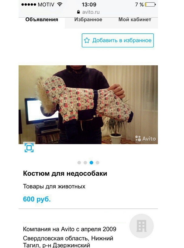 Товары для животных