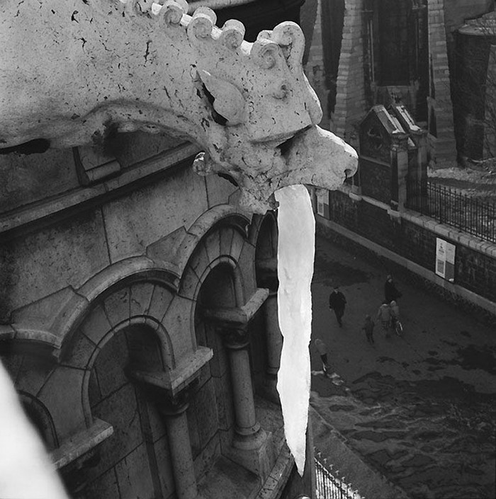 Французское юмористическое фото 1950-х