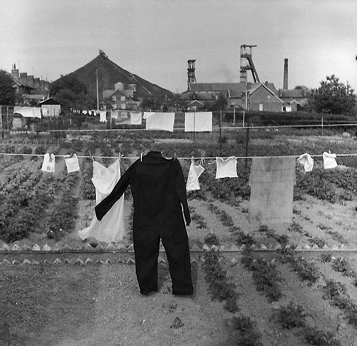 Французское юмористическое фото 1950-х