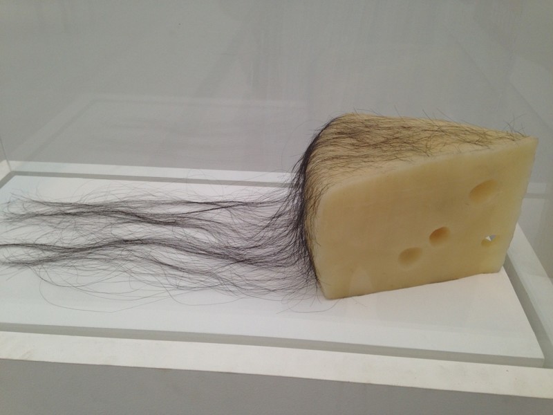 Волосатый сыр 
