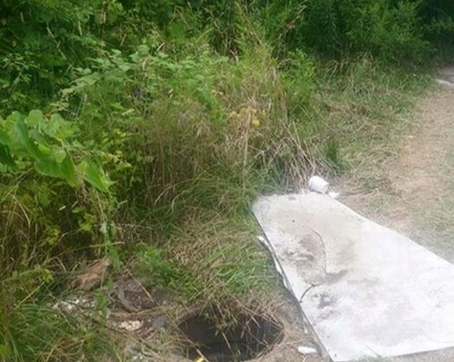 Двое подростков обнаружили умирающее животное в канализационном люке