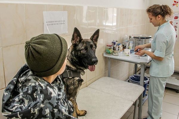 Первый рабочий день полицейских щенков в Перми